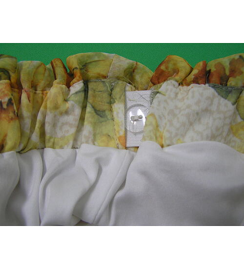 regulace pasu